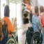 Travel Advisor Specializing in Accessible Travel for Disabled Travelers