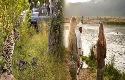 Unveiling the Top Travel Advisors for Luxury Safari Vacations in Africa