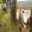 Unveiling the Top Travel Advisors for Luxury Safari Vacations in Africa