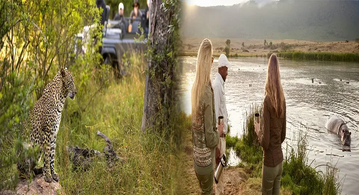 Unveiling the Top Travel Advisors for Luxury Safari Vacations in Africa